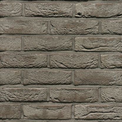 Image de Wienerberger Pagus Iluzo Grijs 238x90x48mm Exclusieve productie