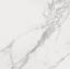 Calacatta White Marble Poli 59.8X59.8